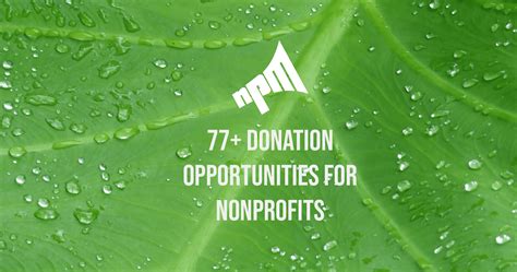 77+ Donation Opportunities for Nonprofits (And How to Apply).